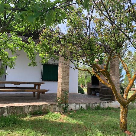 Gran Casa, Lagunas De Ruidera, Bbq, Porche, Chimenea Luaran gambar