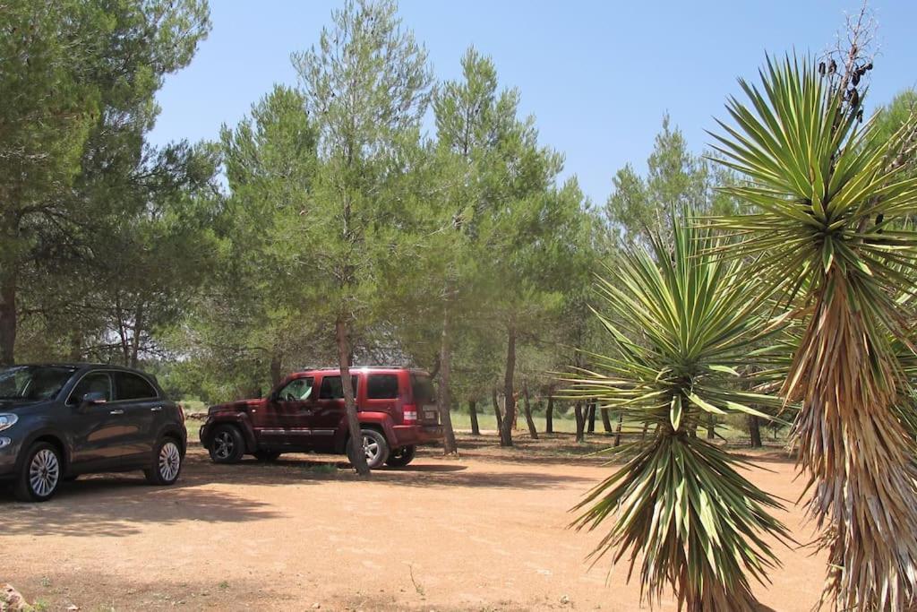 Gran Casa, Lagunas De Ruidera, Bbq, Porche, Chimenea Luaran gambar