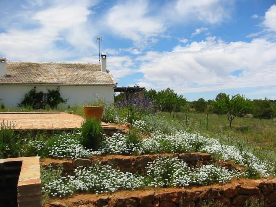Gran Casa, Lagunas De Ruidera, Bbq, Porche, Chimenea Luaran gambar