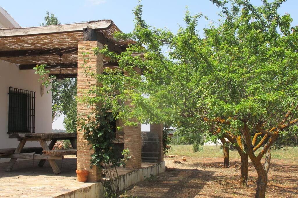 Gran Casa, Lagunas De Ruidera, Bbq, Porche, Chimenea Luaran gambar